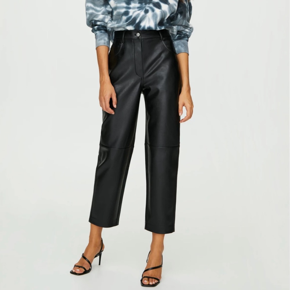 Aritzia Wilfred Free Oracle Leather Pant